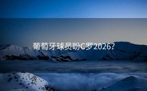 葡萄牙球员盼C罗2026？