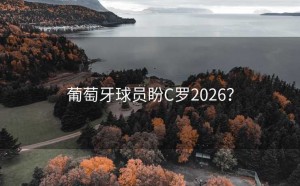 葡萄牙球员盼C罗2026？