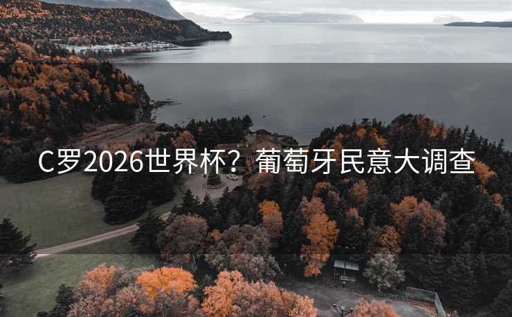 C罗2026世界杯？葡萄牙民意大调查