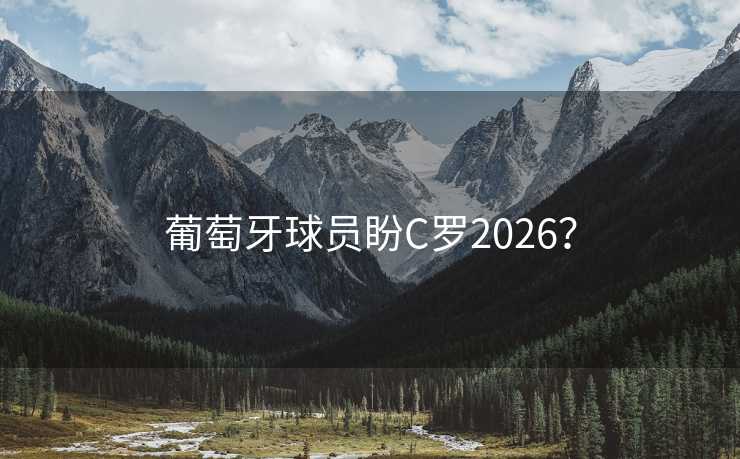 葡萄牙球员盼C罗2026？