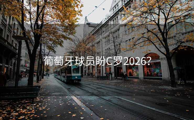 葡萄牙球员盼C罗2026？